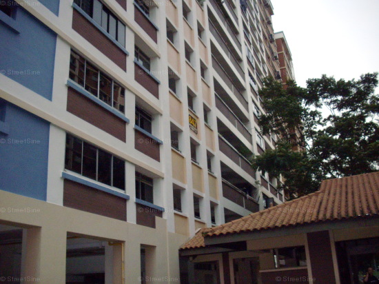 Jurong West Street 81 thumbnail photo